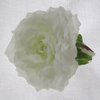 Hiuskukka, valkoinen ruusu