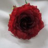 Hiuskukka, tummanpunainen ruusu