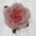 Hair flower, pink rose
