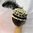 Leopardikuvioinen harsohattu strutsinsulalla