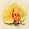 Keltainen orkidea-hiuskukka