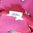 Pinkkipohjainen Muumi-pussilakana ja tyynyliina